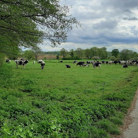 Familienfreundliche Ferienwohnung Auf Dem Lande Monteur Wohnung Hessisch Oldendorf Luaran gambar