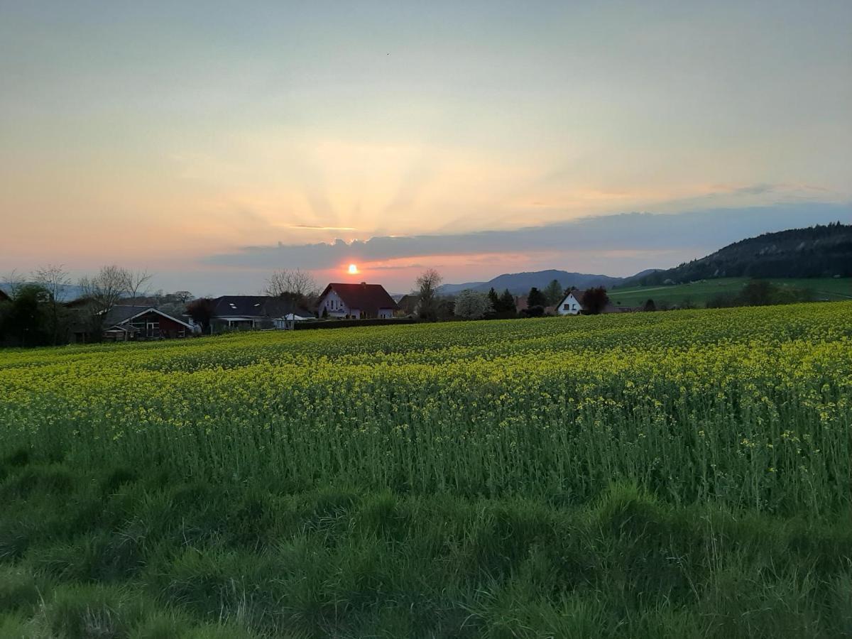 Familienfreundliche Ferienwohnung Auf Dem Lande Monteur Wohnung Hessisch Oldendorf Luaran gambar