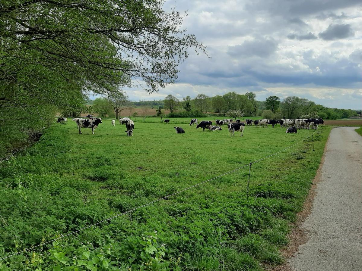 Familienfreundliche Ferienwohnung Auf Dem Lande Monteur Wohnung Hessisch Oldendorf Luaran gambar